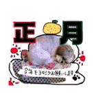メイの季節（個別スタンプ：2）