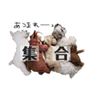 メイの季節（個別スタンプ：22）