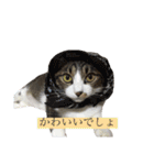 こなさん__。（個別スタンプ：9）