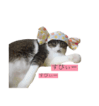 こなさん__。（個別スタンプ：10）