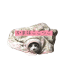 こなさん__。（個別スタンプ：17）