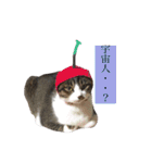 こなさん__。（個別スタンプ：21）