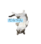 こなさん__。（個別スタンプ：24）