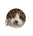 こなさん__。（個別スタンプ：32）