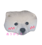 Muu ①（個別スタンプ：6）