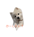 Muu ①（個別スタンプ：7）