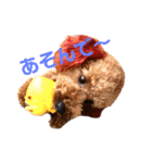 そらあずの日常  たまに やまたい（個別スタンプ：13）