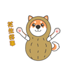 ケルマス＆柴犬ママ＆ラッキー（個別スタンプ：2）