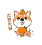 ケルマス＆柴犬ママ＆ラッキー（個別スタンプ：4）