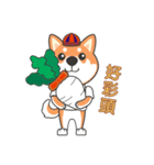 ケルマス＆柴犬ママ＆ラッキー（個別スタンプ：6）