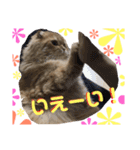 ココwithパワーアップキット（個別スタンプ：4）