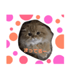 ココwithパワーアップキット（個別スタンプ：8）