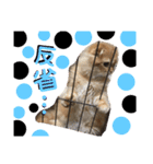 ココwithパワーアップキット（個別スタンプ：14）