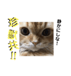 ココwithパワーアップキット（個別スタンプ：24）