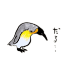 ペンギンに好き勝手しゃべらせてみたンプ（個別スタンプ：1）