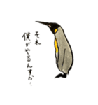 ペンギンに好き勝手しゃべらせてみたンプ（個別スタンプ：6）