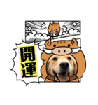 ゴールデンのニコと仲間のクリスマス正月用（個別スタンプ：19）