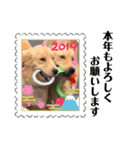 ゴールデンのニコと仲間のクリスマス正月用（個別スタンプ：23）