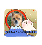 ゴールデンのニコと仲間のクリスマス正月用（個別スタンプ：30）