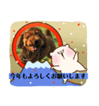 ゴールデンのニコと仲間のクリスマス正月用（個別スタンプ：32）