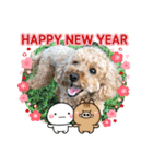 ゴールデンのニコと仲間のクリスマス正月用（個別スタンプ：38）