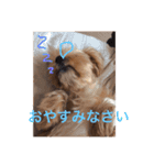 LAURU（個別スタンプ：2）