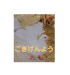 りいのすけスタンプ1（個別スタンプ：8）