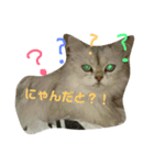 マリーちゃんのスタンプ（個別スタンプ：2）