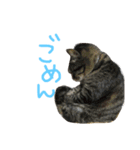 ちろくんのスタンプ（個別スタンプ：2）