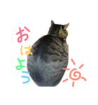 ちろくんのスタンプ（個別スタンプ：6）