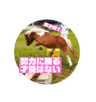 久万うまスタンプ オンとオフ（個別スタンプ：1）