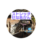 久万うまスタンプ オンとオフ（個別スタンプ：5）