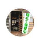 久万うまスタンプ オンとオフ（個別スタンプ：6）