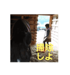 久万うまスタンプ オンとオフ（個別スタンプ：7）