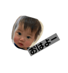 とんとん君（個別スタンプ：6）
