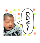 しんたんスタンプ☆新生児期（個別スタンプ：7）
