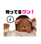しんたんスタンプ☆新生児期（個別スタンプ：14）