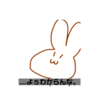 うさぴょんは目で語る（個別スタンプ：1）