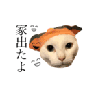 デブ猫ラズくん☆（個別スタンプ：5）