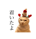 デブ猫ラズくん☆（個別スタンプ：6）