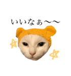 デブ猫ラズくん☆（個別スタンプ：9）