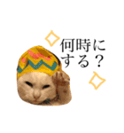 デブ猫ラズくん☆（個別スタンプ：14）