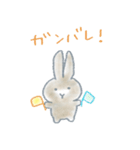 うさぎのまるちゃんスタンプ（個別スタンプ：31）