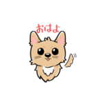 くつした小琴ちゃん（個別スタンプ：2）