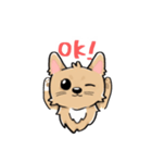 くつした小琴ちゃん（個別スタンプ：3）
