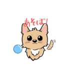 くつした小琴ちゃん（個別スタンプ：5）