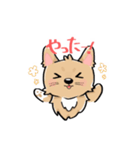 くつした小琴ちゃん（個別スタンプ：6）