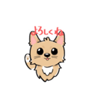 くつした小琴ちゃん（個別スタンプ：7）