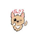 くつした小琴ちゃん（個別スタンプ：11）