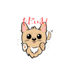 くつした小琴ちゃん（個別スタンプ：12）